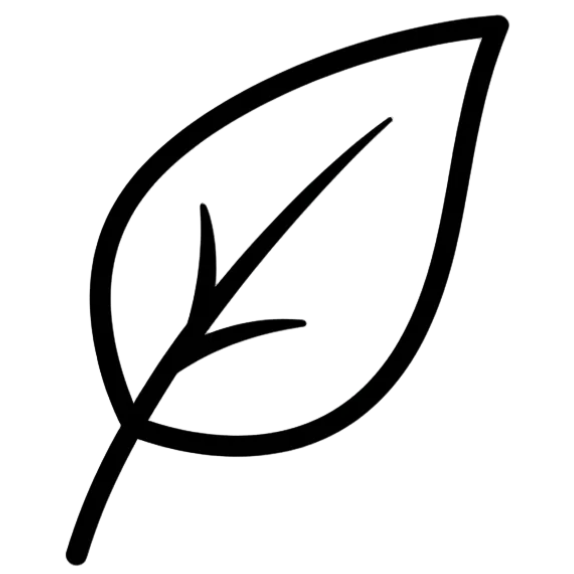 feature-item-1
